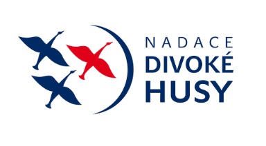 Logo divoké husy